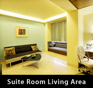 Suite Room Living Area